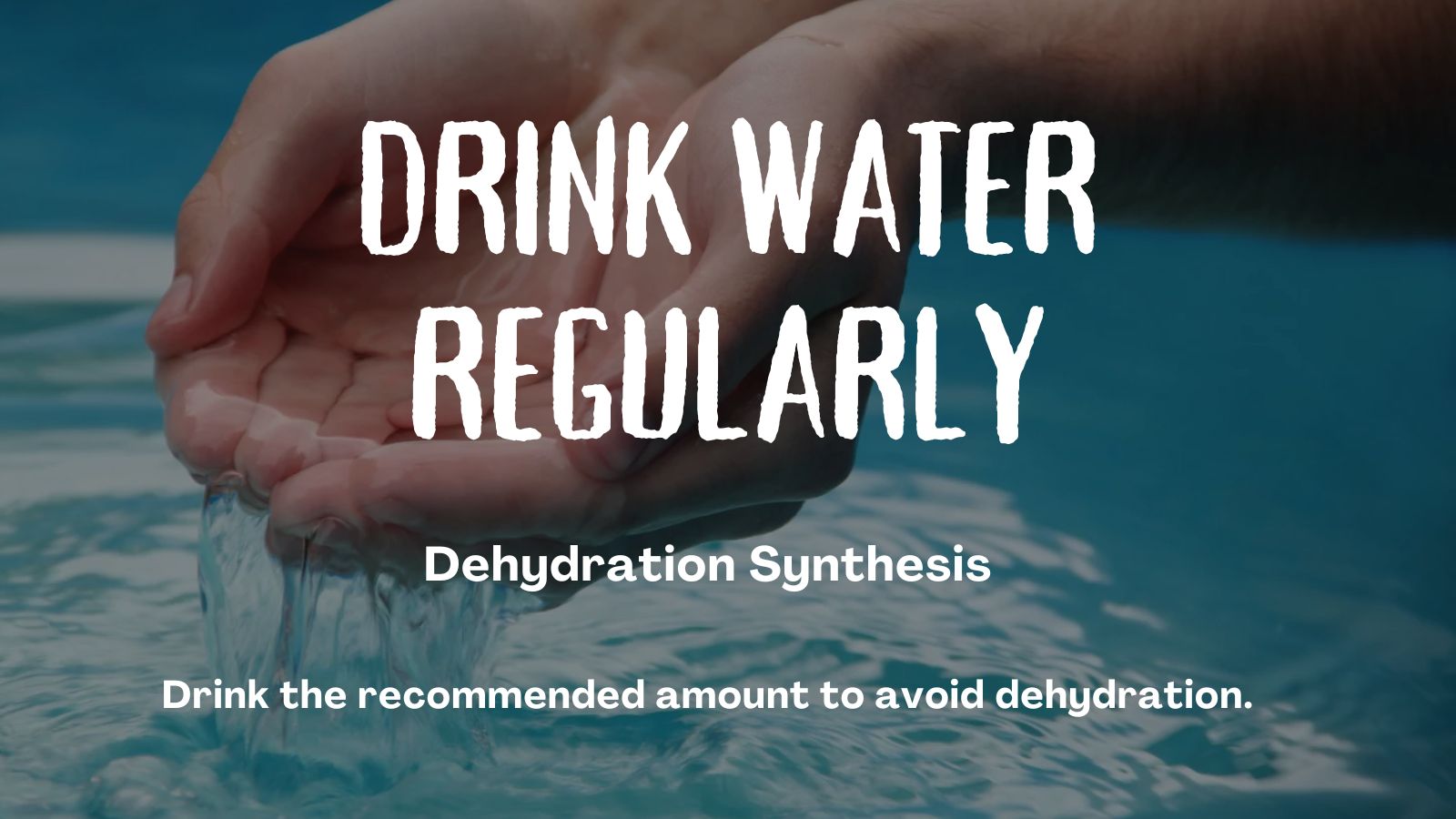 Dehydration Synthesis